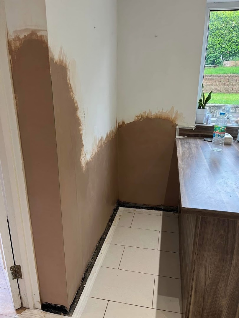 Star & Crown Plastering — Photos 4