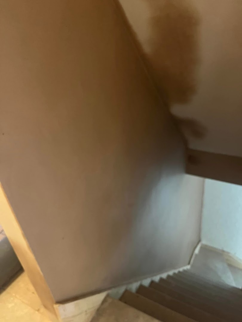 Star & Crown Plastering — Photos 11